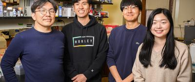 The researchers found that muscle with nerves released more of the brain-boosting factors than muscle without nerves. Pictured, from left: Professor Joon Kong and students Kai Yu Huang, Yujin An and Sehong Kang.